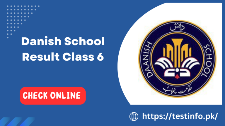 Danish School Result Class 6 2024