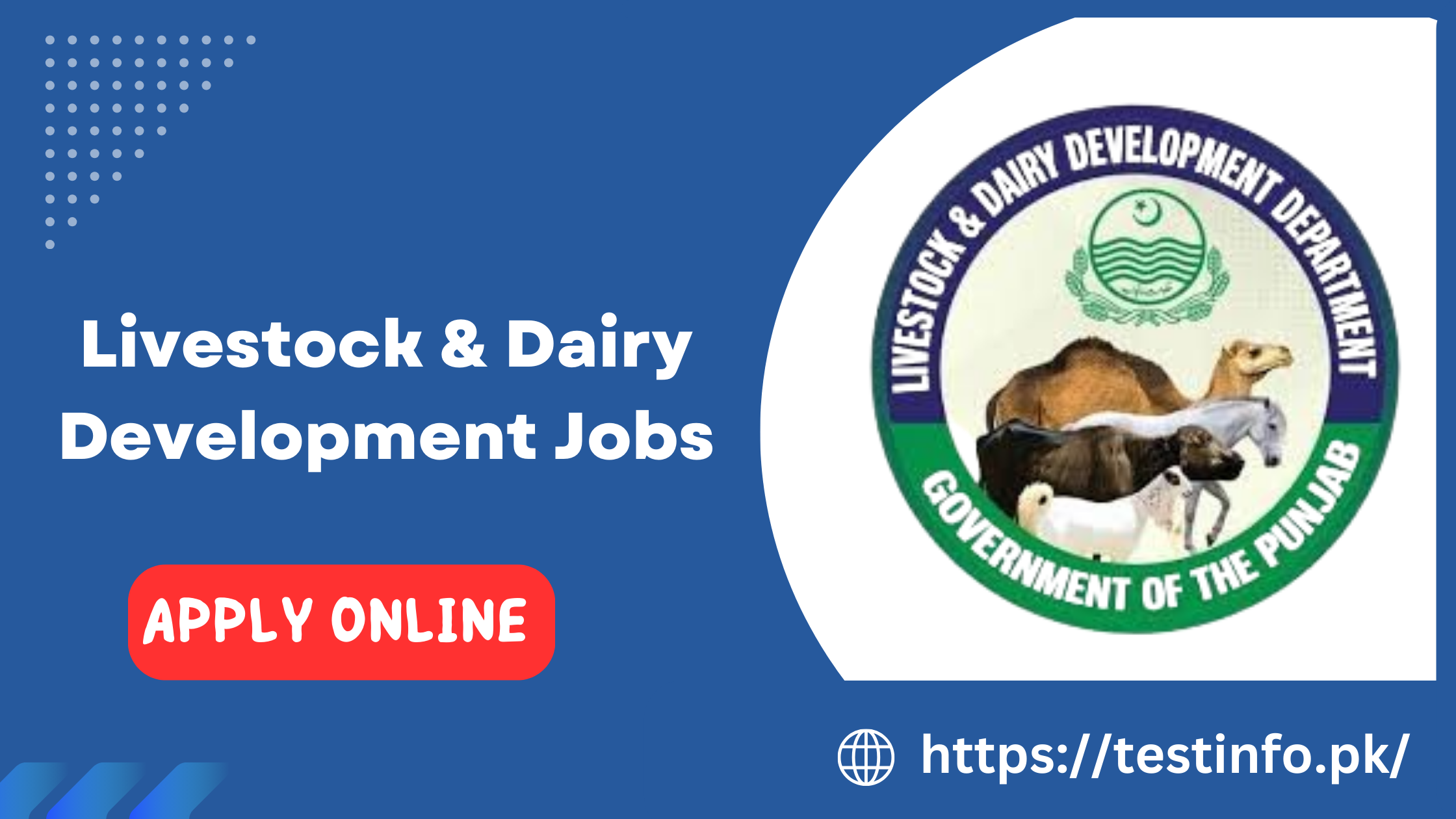 Livestock and Dairy Development Jobs