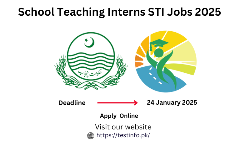 School Teaching Interns STI Jobs