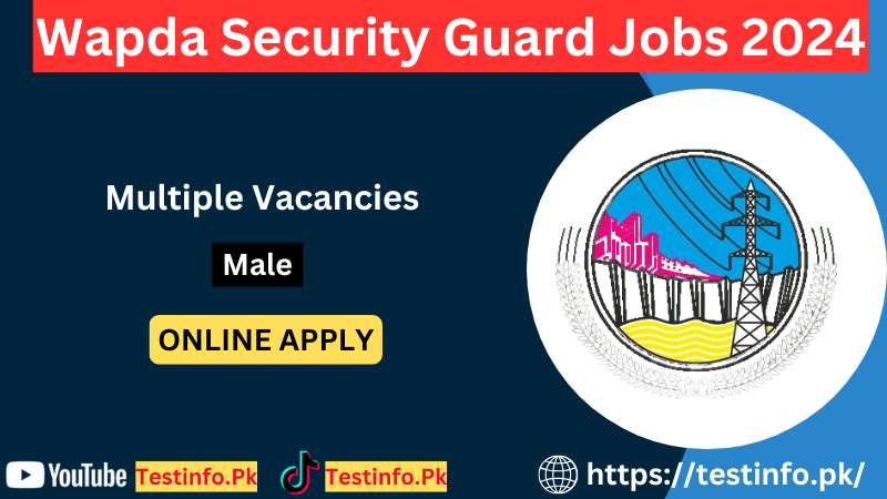 Wapda Security Guard Jobs 2024