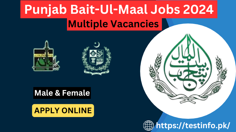 Punjab Bait-Ul-Maal Jobs 2024