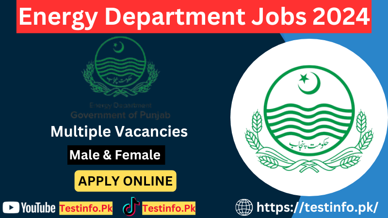 Government of Punjab Energy Department Jobs 2024