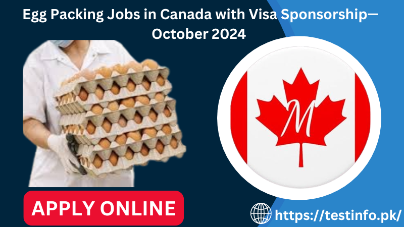 Egg Packing Jobs in Canada with Visa Sponsorship—October 2024